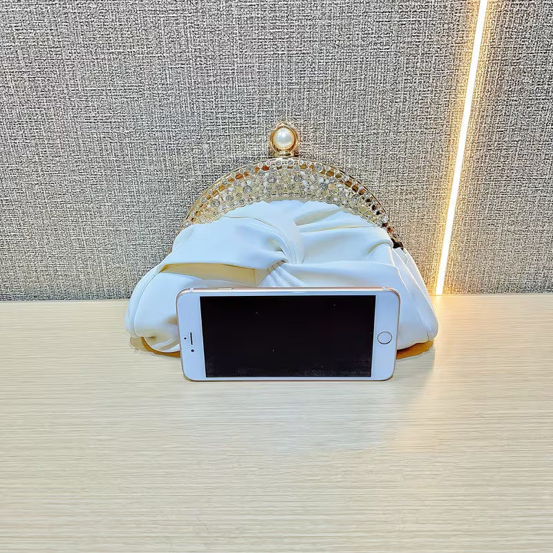 Fashionable "Occasion" Bag with Golden Accents.